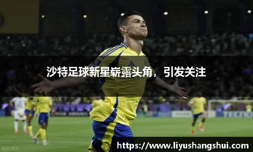 智博19有限公司